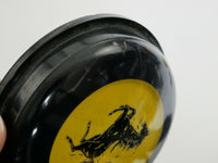 1958-70 Ferrari Horn Button 250 275 330 365