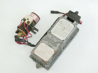 Dinoplex C dino