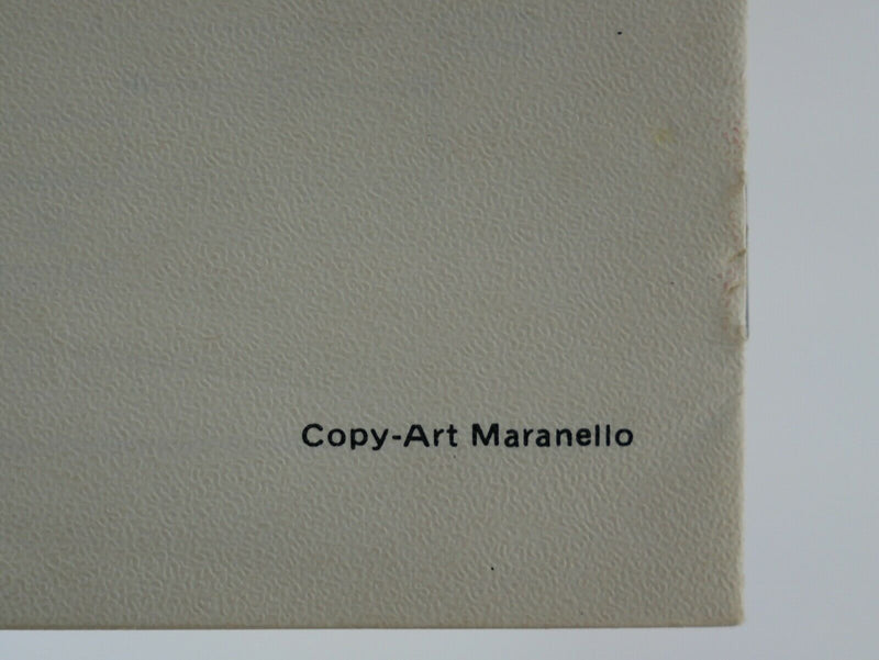 Ferrari 365 GTB/4 Daytona Consumer Information Manual