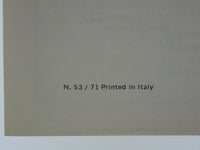 Ferrari 246 Dino Consumer Information Manual