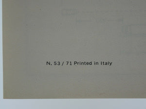 Ferrari 246 Dino Consumer Information Manual