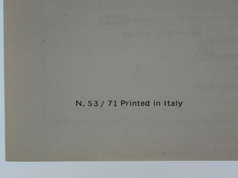 Ferrari 246 Dino Consumer Information Manual